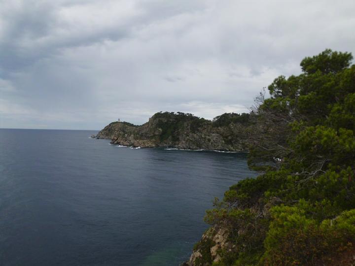 2014-06 Porquerolles 002.JPG